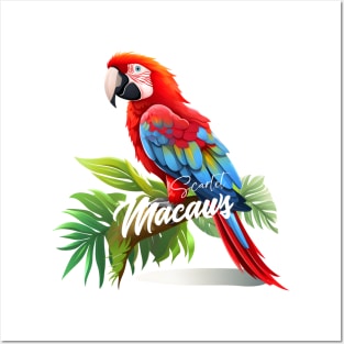 Scarlet Macaws Posters and Art